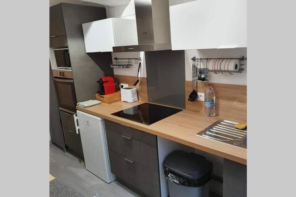 Appartement Avec Jardin Hyper Entre Valenciennes Ngoại thất bức ảnh