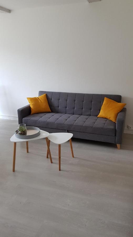 Appartement Avec Jardin Hyper Entre Valenciennes Ngoại thất bức ảnh